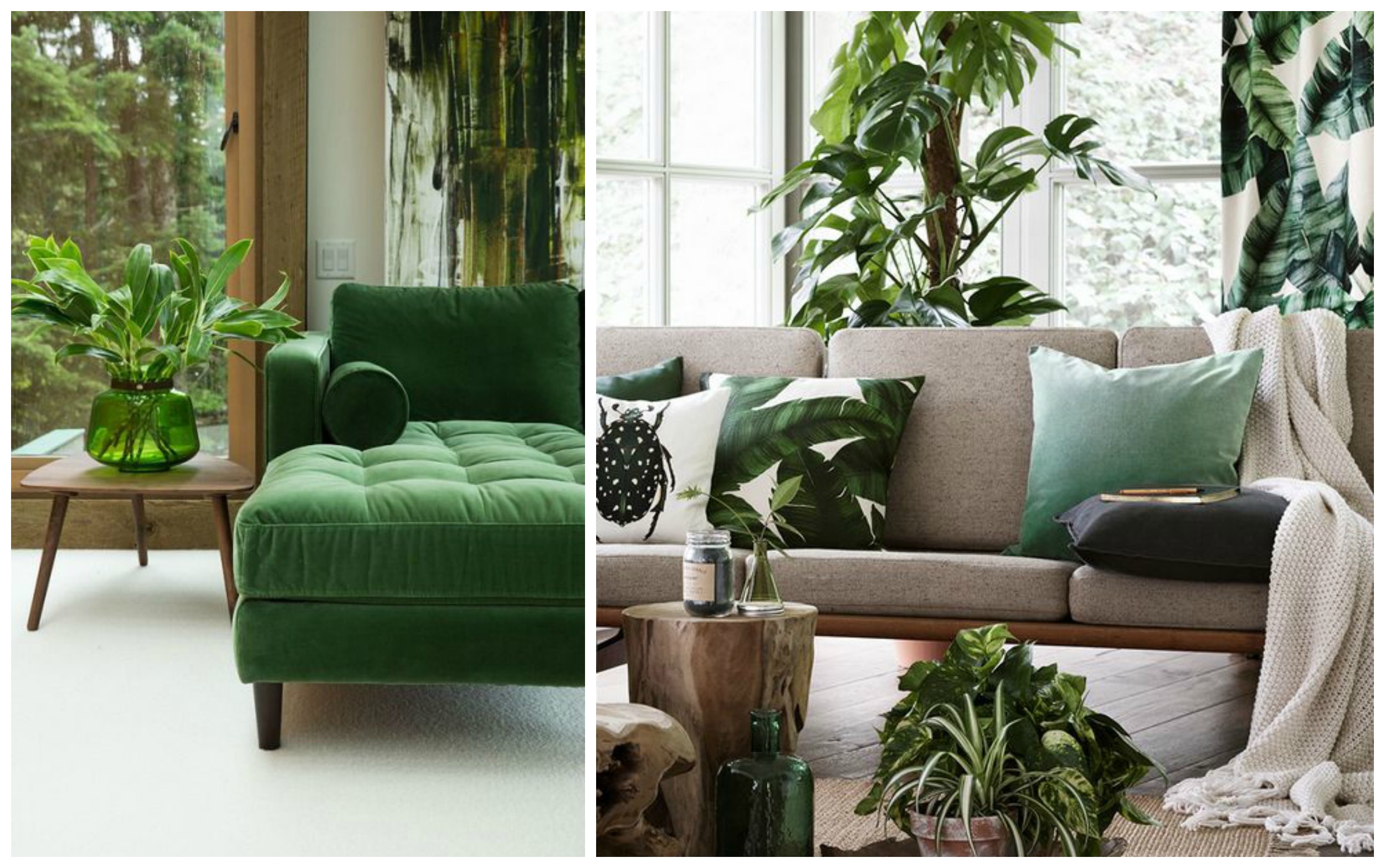 Zeleno pohištvo, dodatki in rastline, vir fotografije Pinterest